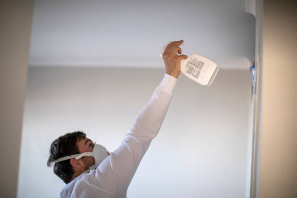 Best Mold Removal Near Me  in San Angelo, TX