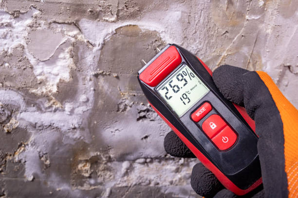 Best Mold Testing  in San Angelo, TX
