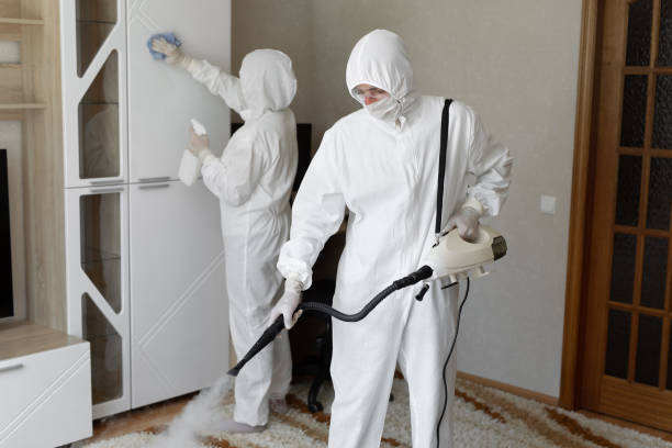 Best Mold Removal Process  in San Angelo, TX