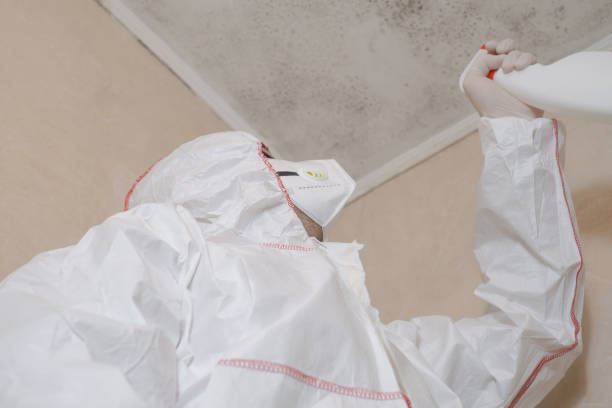 Best Mold Removal Company Near Me  in San Angelo, TX