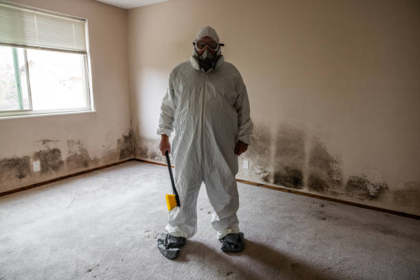 Certified Mold Removal in San Angelo, TX