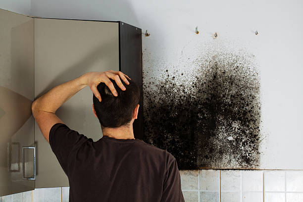 Mold Removal Process in San Angelo, TX